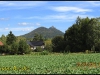 podzimn-bezdz_0