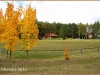 foto-okna-118