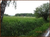 foto-okna-142
