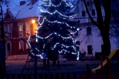 Vánoční strom 2016
