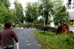 Vichřice 2016