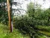 dscn2995