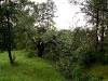 dscn2996