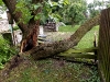 dscn3081